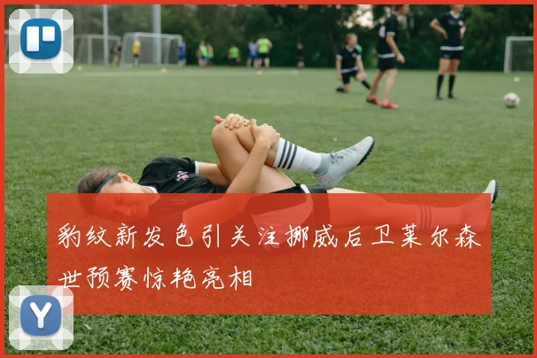 豹纹新发色引关注挪威后卫莱尔森世预赛惊艳亮相