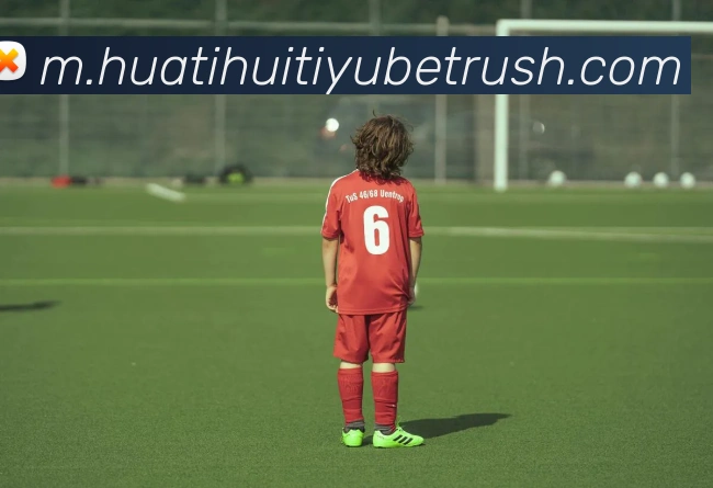 App Interface Preview